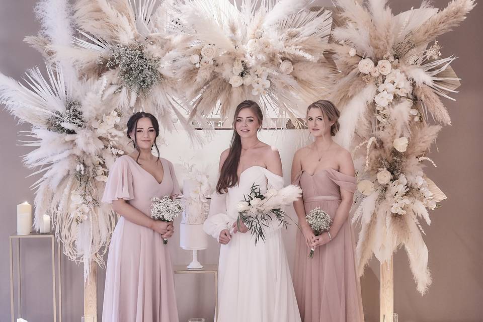 Bride and bridesmaids