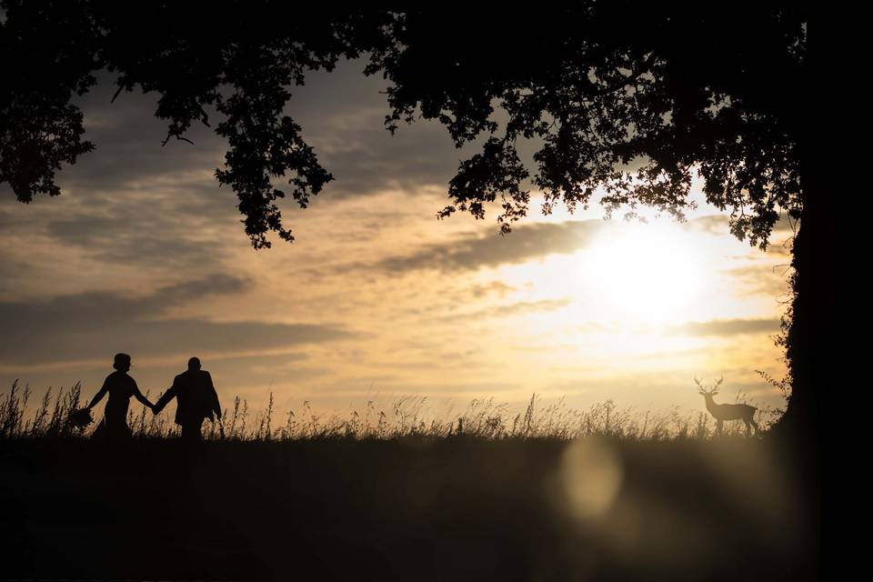 Summer evening