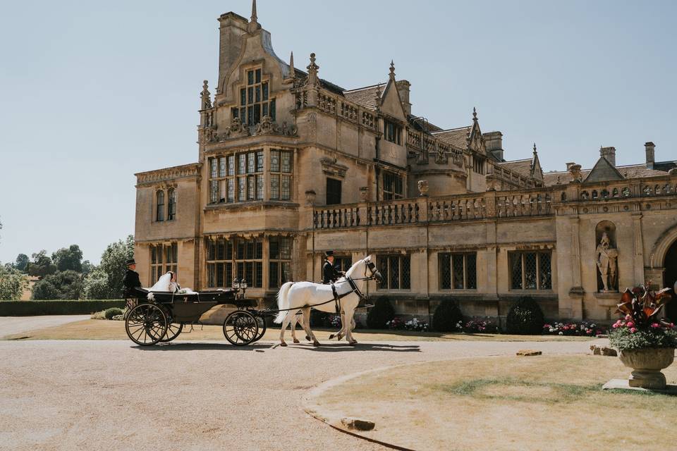 Horse & Carriage