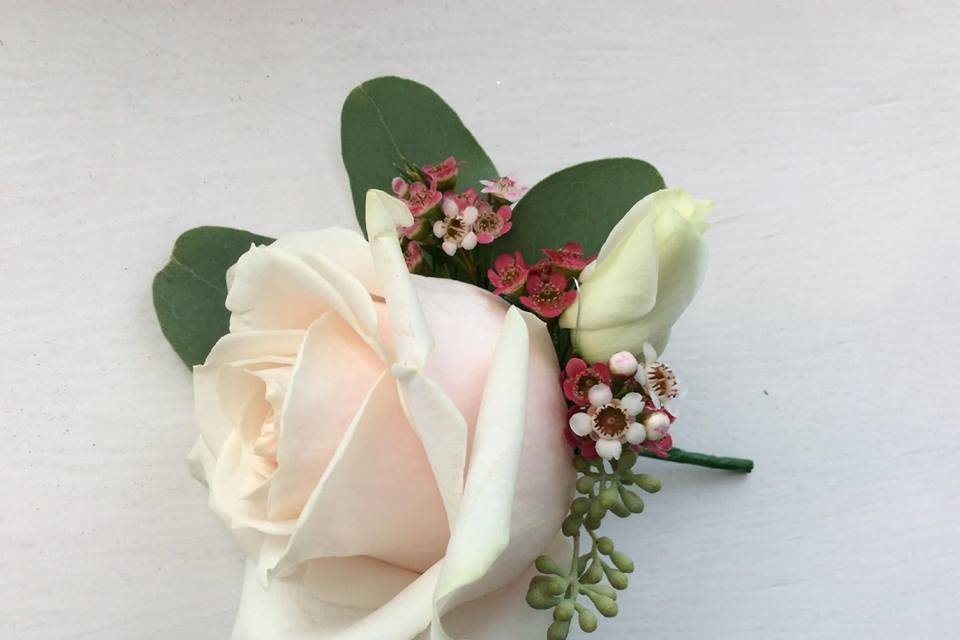 Rose Buttonhole with Waxflower