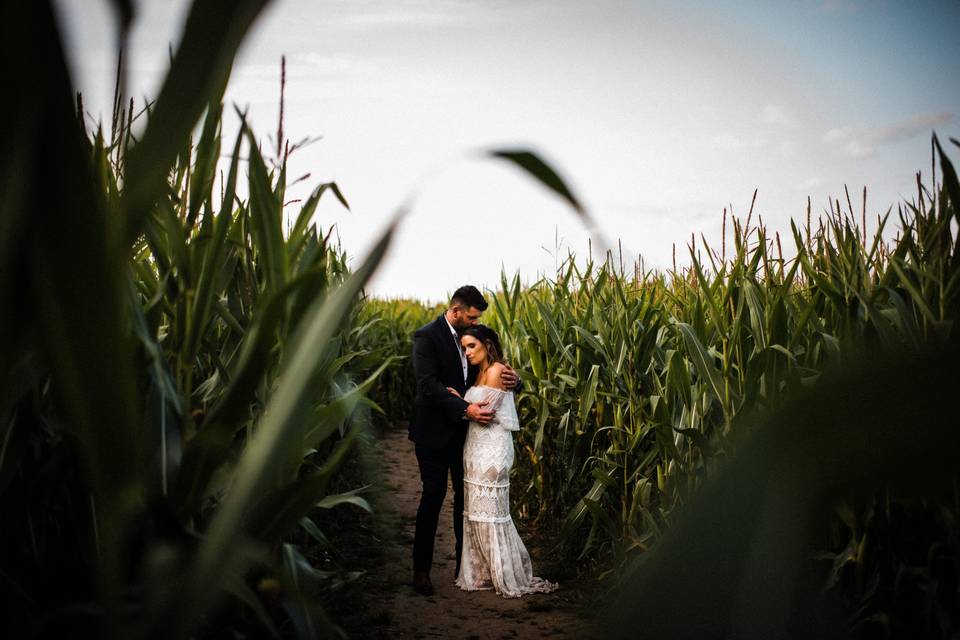 Love & cornfield