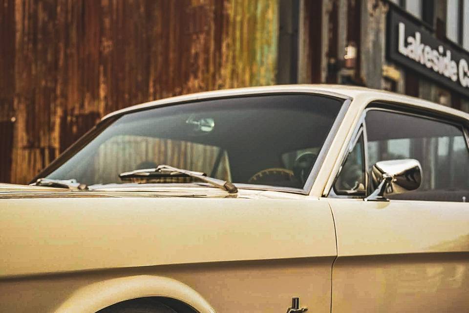 Mustang Maddie
