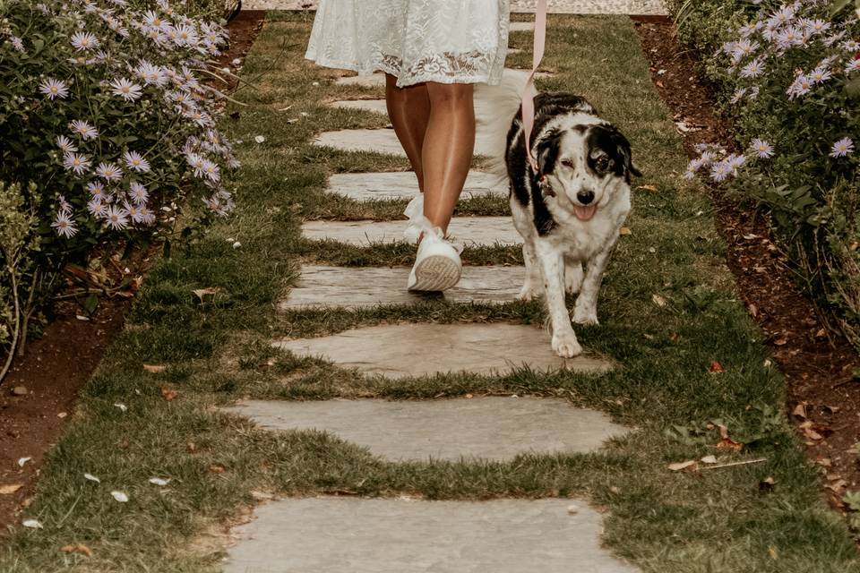 Brickhouse Vineyard, Devon