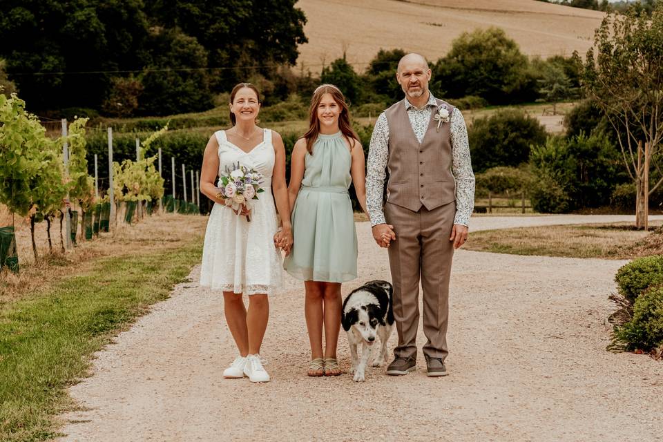 Brickhouse Vineyard, Devon