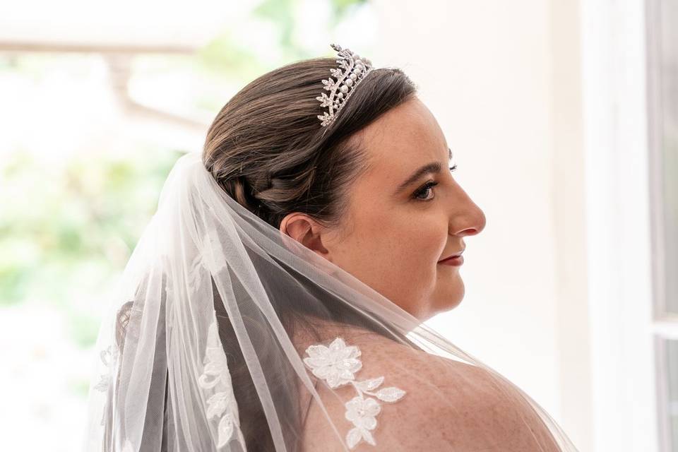 Veil profile window light