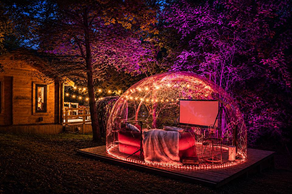Magical Woodland Bridal Cinema