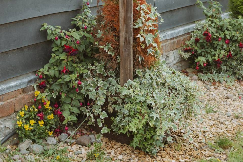 Wedding Detailed Photographer