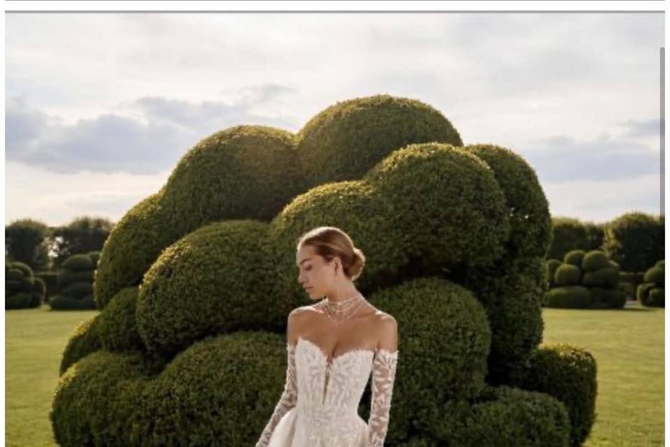 Beautiful Bridal Gown