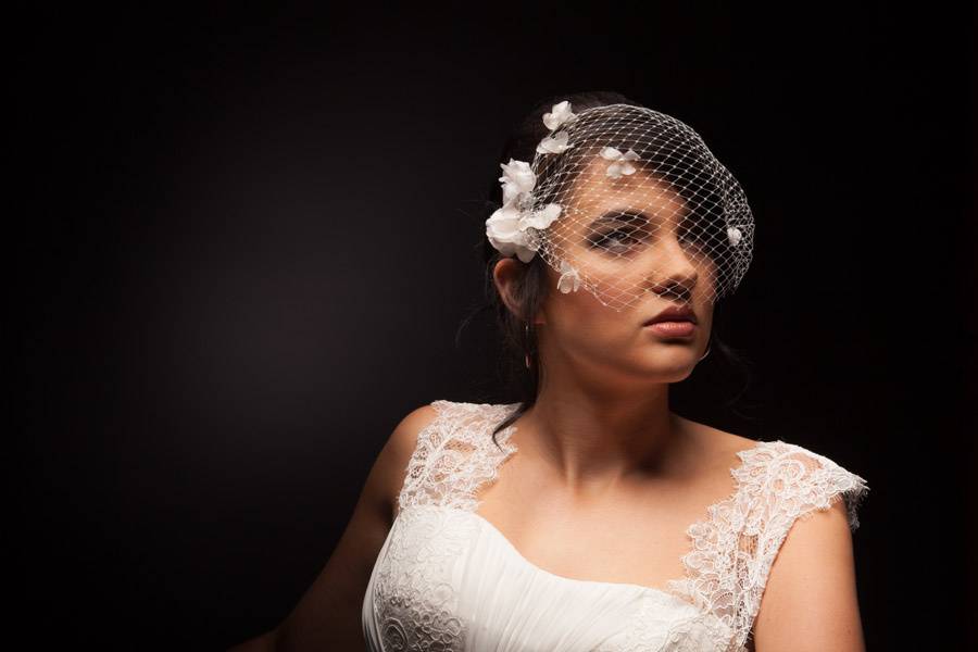 Bridal birdcage veil