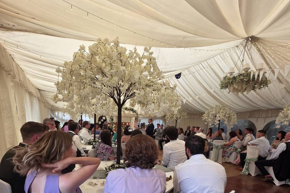 Marquee Wedding