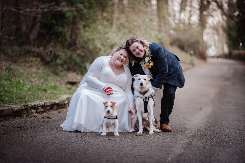 Couple with dogs