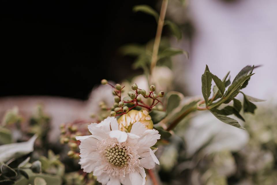 Bud vases