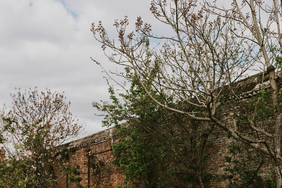 The Walled Garden at Cowdray