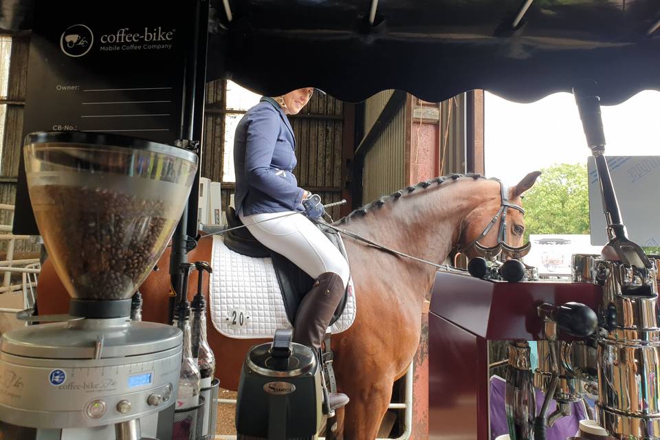 Even horses need their coffee