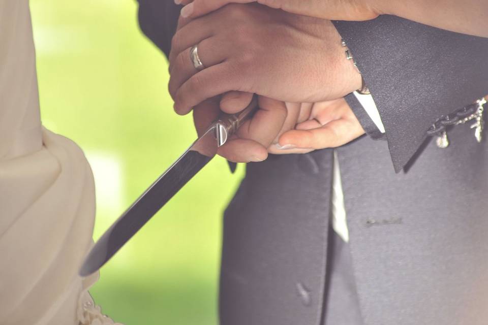 Cake Cutting