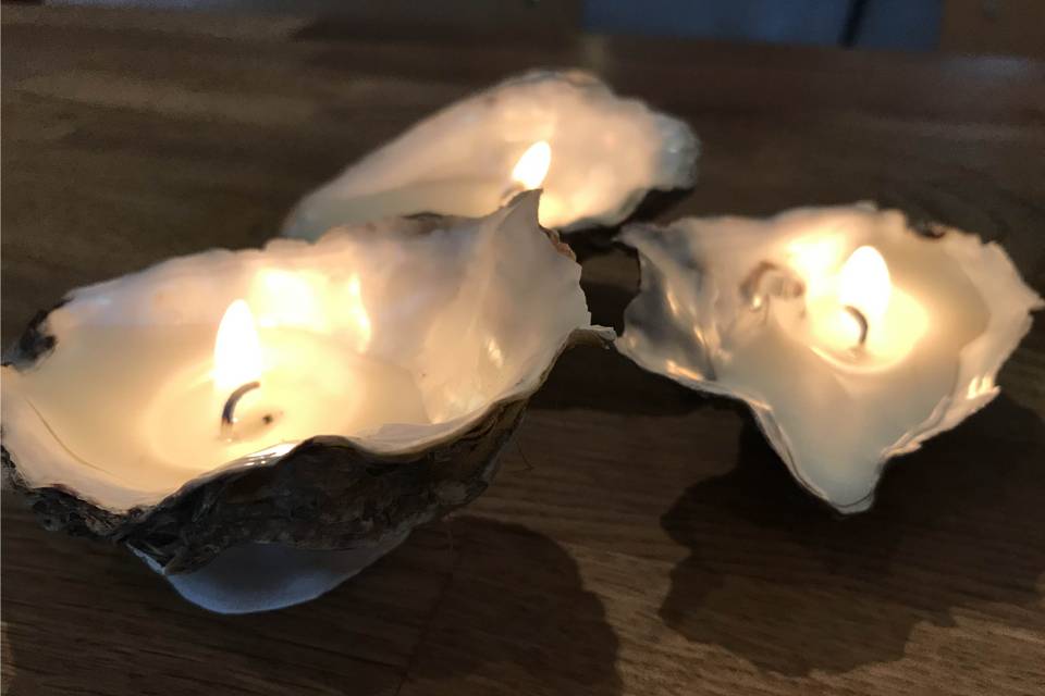 Oyster shell candle