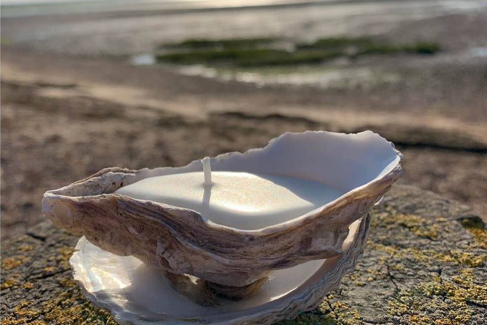 Oyster shell candle