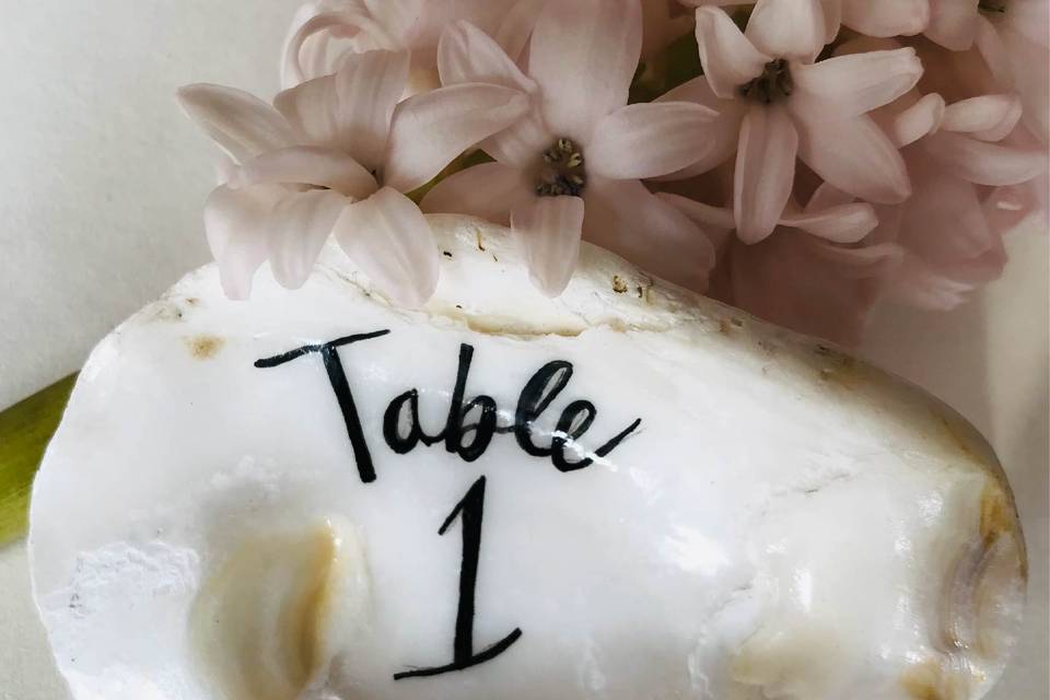 Table number on shell