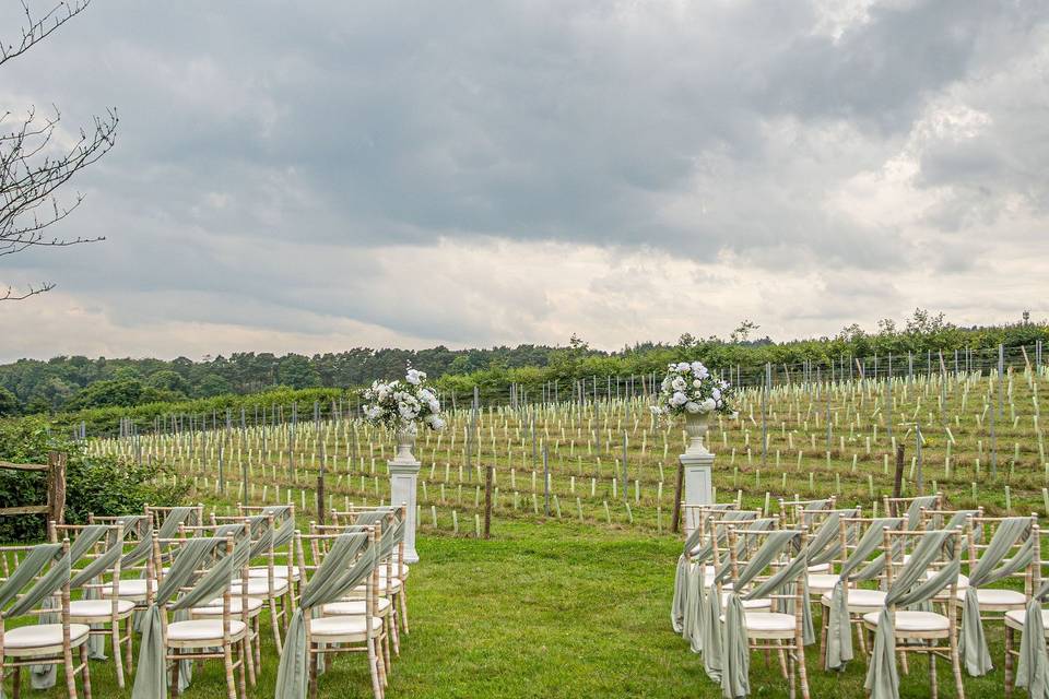 Sedlescombe Vineyard