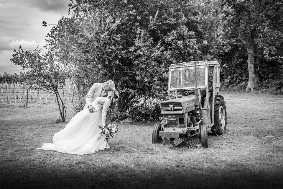 Sedlescombe Vineyard