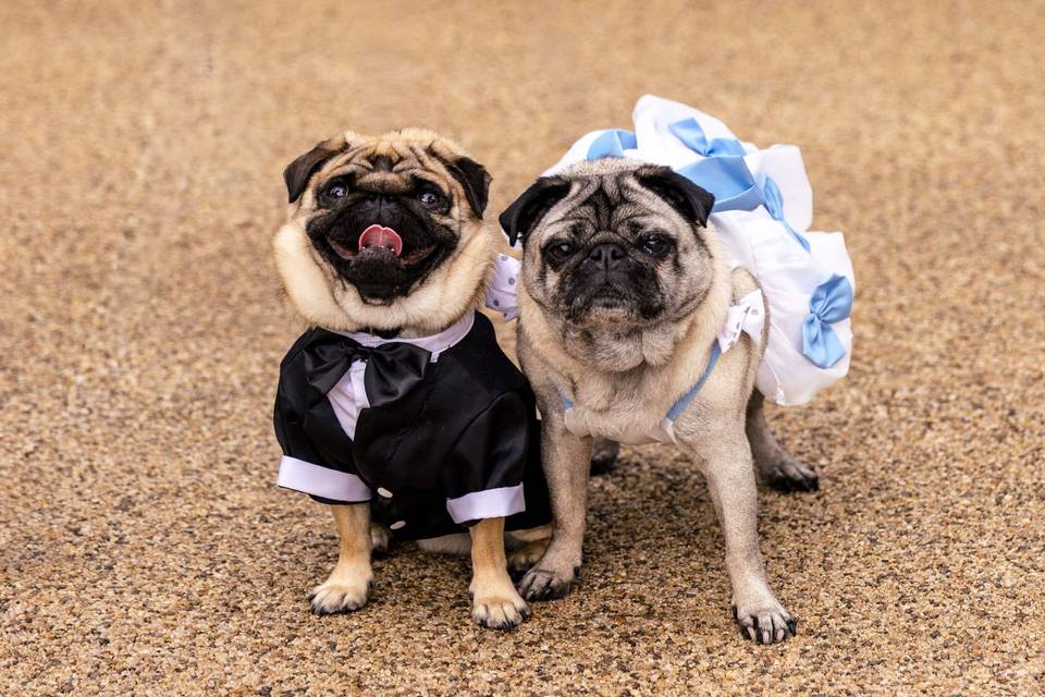 Page boy & bridesmaid 🥹