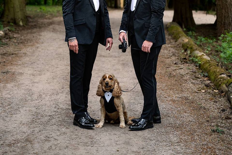 Man’s best friend