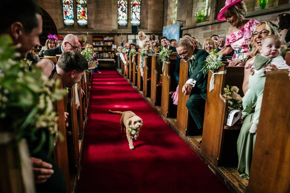 Ring bearer duties