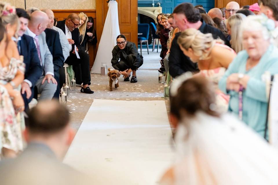 Cheshire Dog Lady Weddings