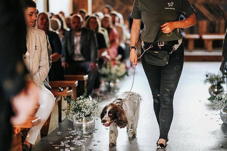 Ring bearer
