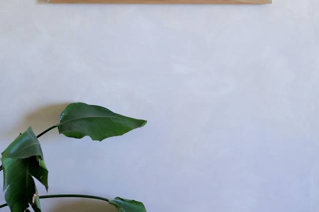 Bouquet Preservation