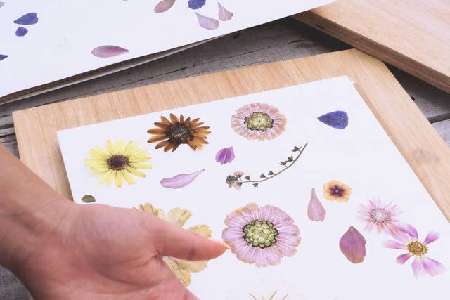 Flowers in the press