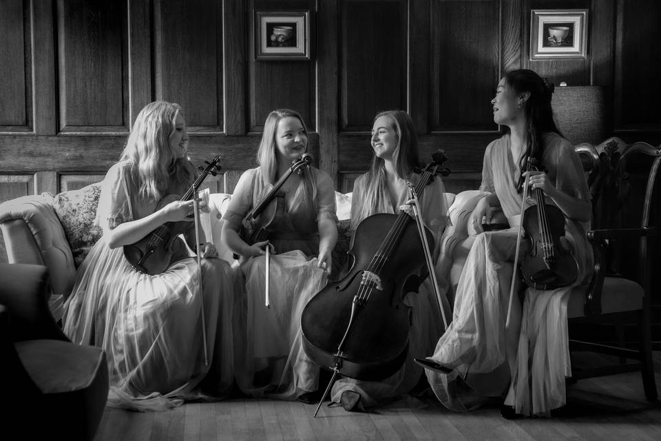 Serenity Strings