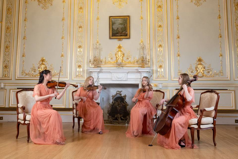 Serenity Strings on site