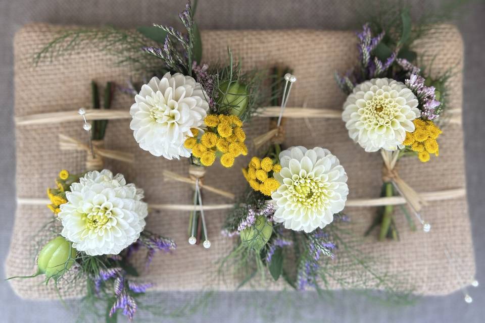 Buttonholes