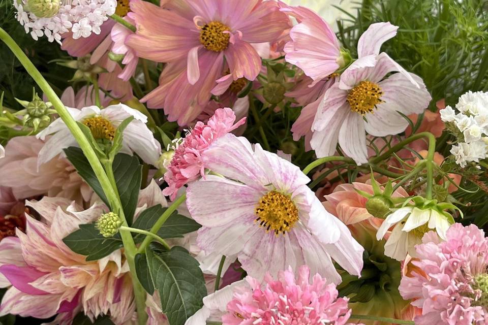 Local, seasonal flowers