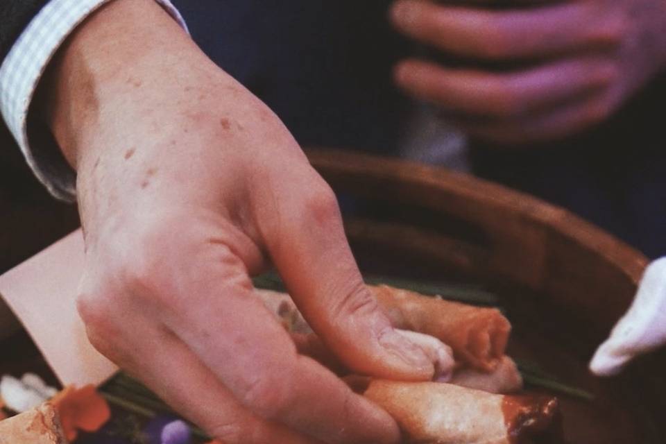 Duck Spring Rolls
