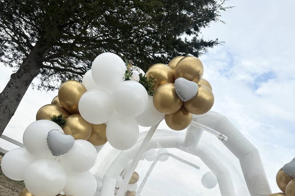 White & Gold Bubble house