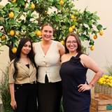 Sales  Team