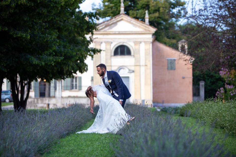 Lavender garden