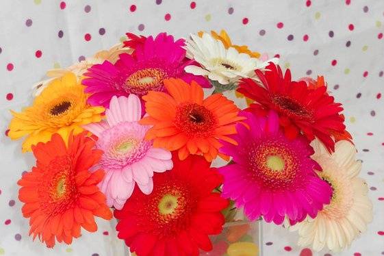 Small centrepiece of fresh Gerbera