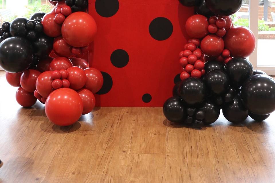 Lady bug birthday