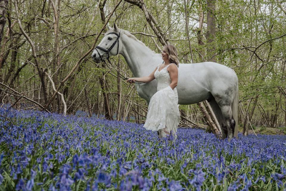 In the bluebells