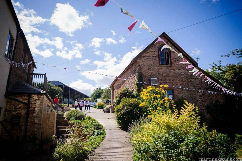 Bunting on a clear day