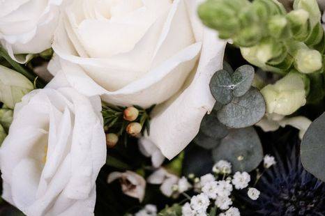 White rose