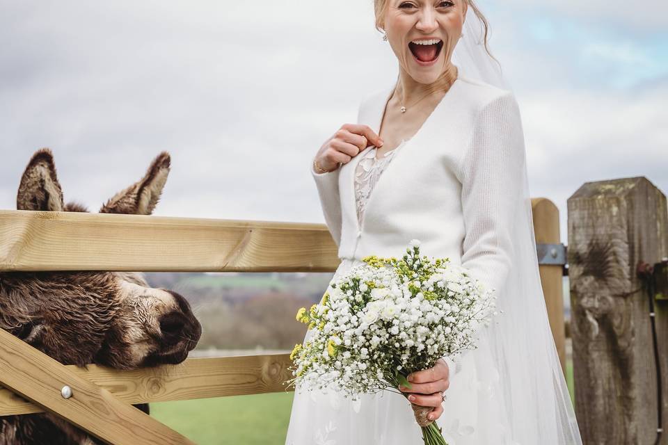 Bride and donkey