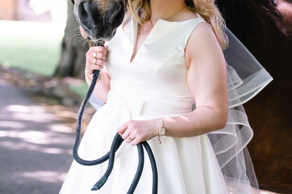 Beautiful Vintage Bride