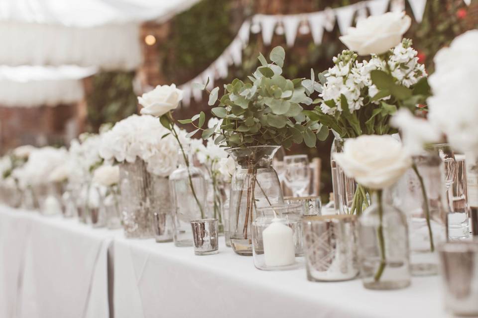 Willow & Blush Hire