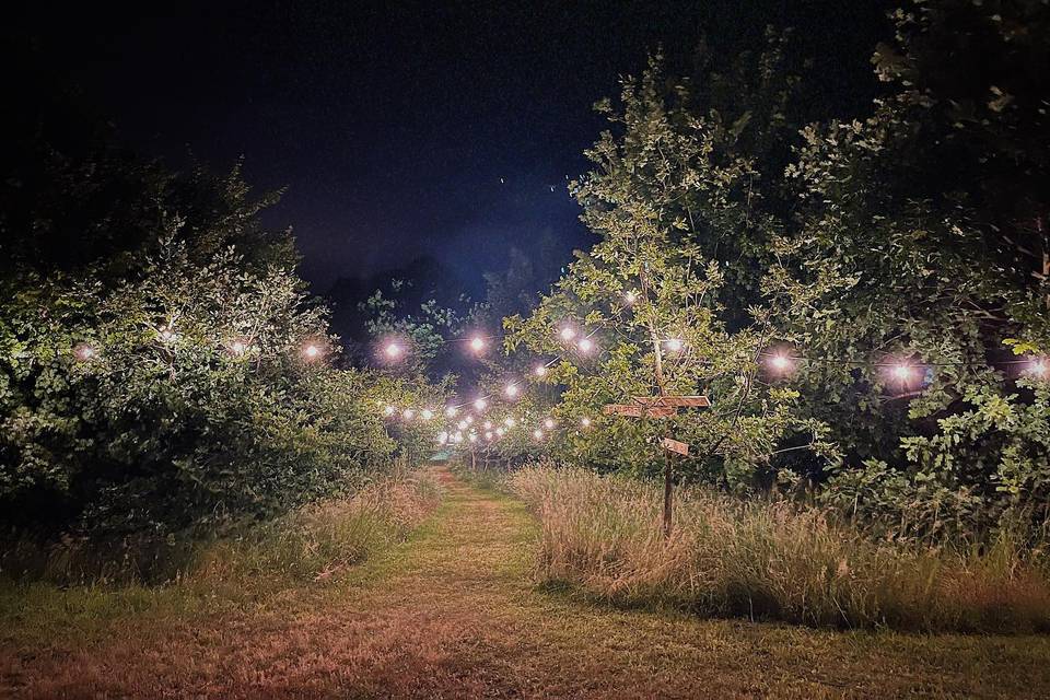 Garden & Grounds Festoons