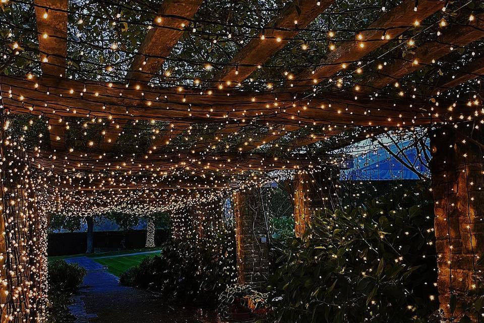 Fairy Light Canopy