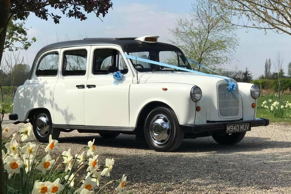 Ivory vintage fairway taxi